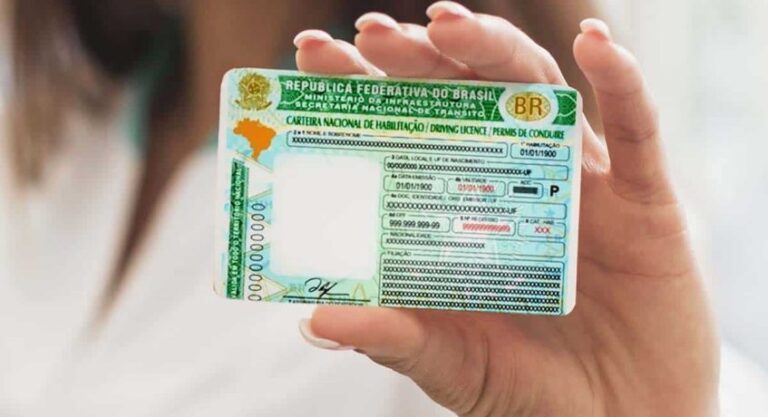 Número do Espelho da CNH: Onde Fica e Para que Serve?